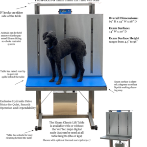 Exam Lift Table