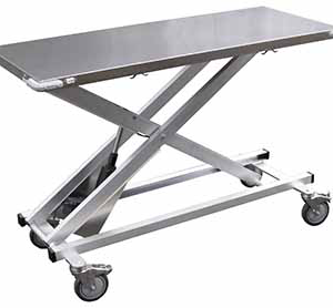 Electric Assist Transport Table w/o Scale