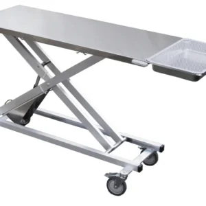 Electric Transport Table with Dental Tray